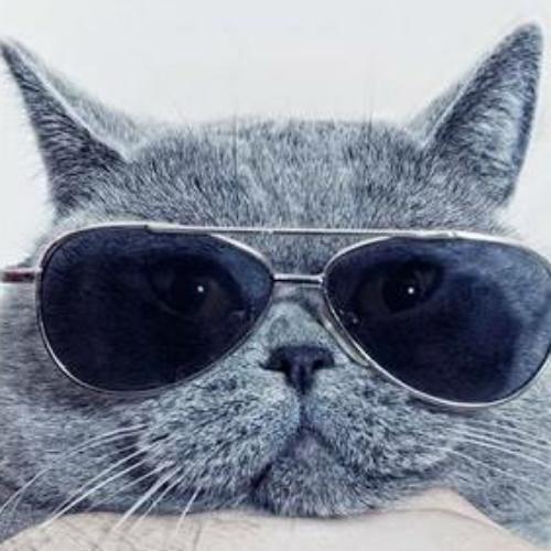 สมาชิกหมายเลข 4512780