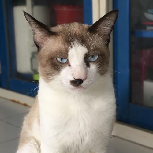 สมาชิกหมายเลข 4318253