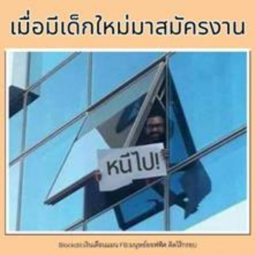 สมาชิกหมายเลข 1889256