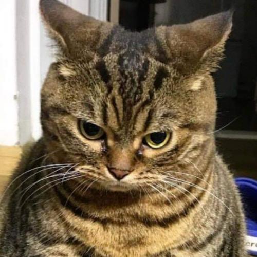 สมาชิกหมายเลข 1066487