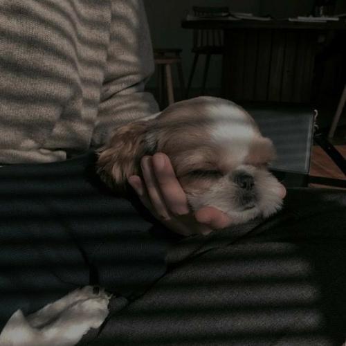 สมาชิกหมายเลข 6217663