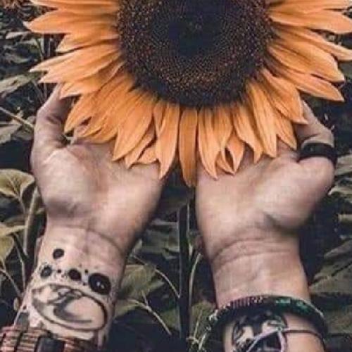 สมาชิกหมายเลข 6242373