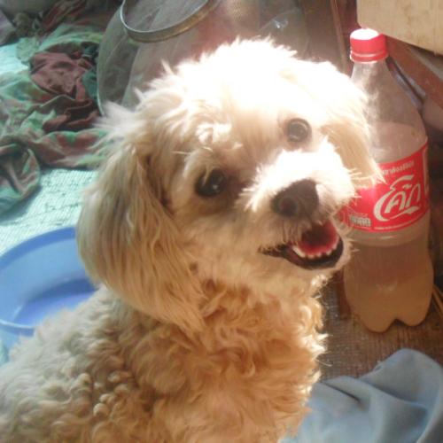 สมาชิกหมายเลข 3456917