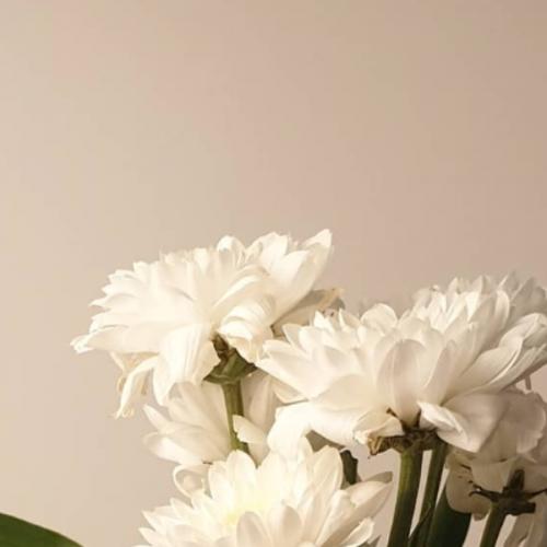 สมาชิกหมายเลข 4106816