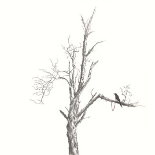 สมาชิกหมายเลข 2827257