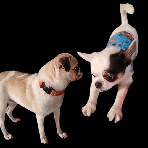 สมาชิกหมายเลข 3392997