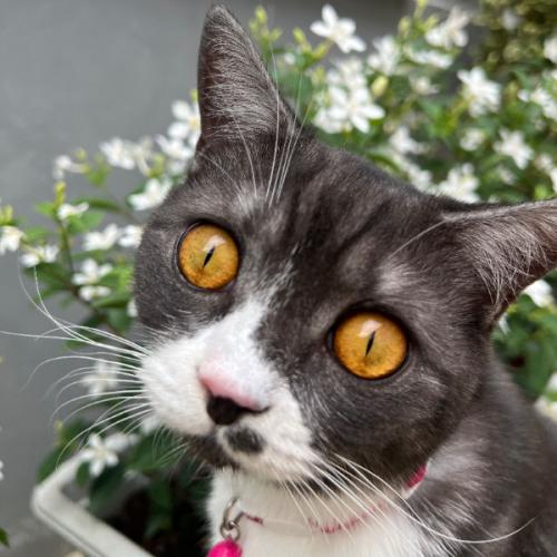 สมาชิกหมายเลข 3735504