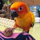 สมาชิกหมายเลข 4082696