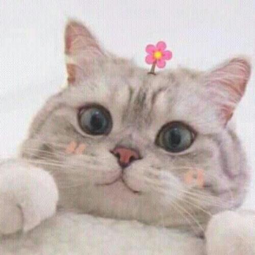 สมาชิกหมายเลข 4849938