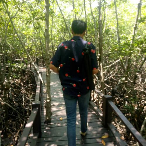 สมาชิกหมายเลข 5238255