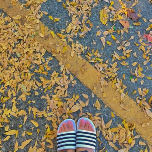 สมาชิกหมายเลข 4874561