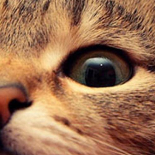 สมาชิกหมายเลข 5666165