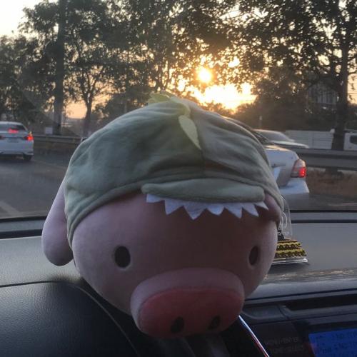 สมาชิกหมายเลข 5666205