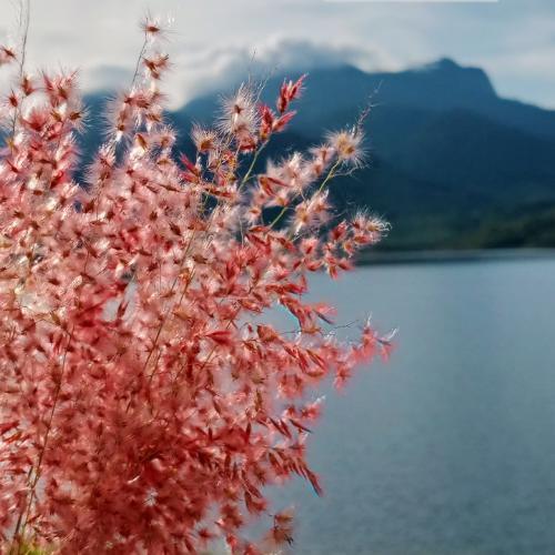 สมาชิกหมายเลข 4163312