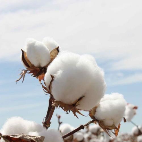 สมาชิกหมายเลข 4292832