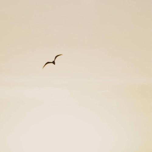 สมาชิกหมายเลข 6045792