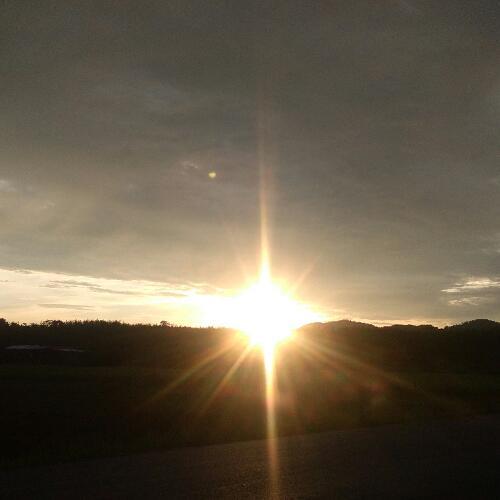 สมาชิกหมายเลข 6242710