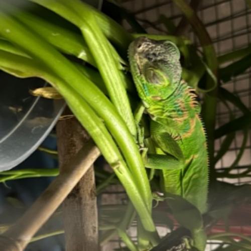 สมาชิกหมายเลข 1836606