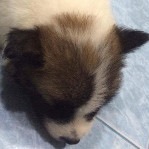 สมาชิกหมายเลข 5997830