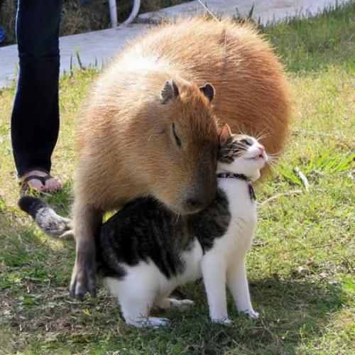 สมาชิกหมายเลข 6860798