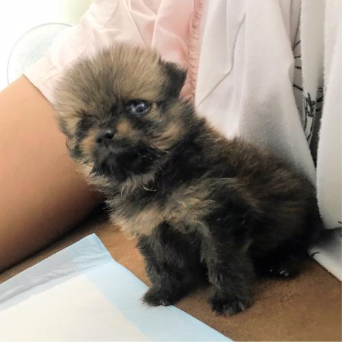 สมาชิกหมายเลข 4057808