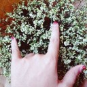 สมาชิกหมายเลข 4067058