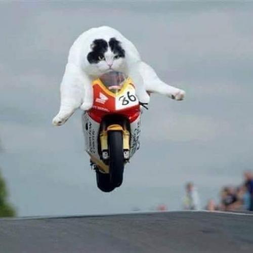 สมาชิกหมายเลข 4850100