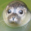 สมาชิกหมายเลข 4850109