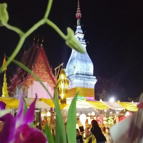 สมาชิกหมายเลข 921649