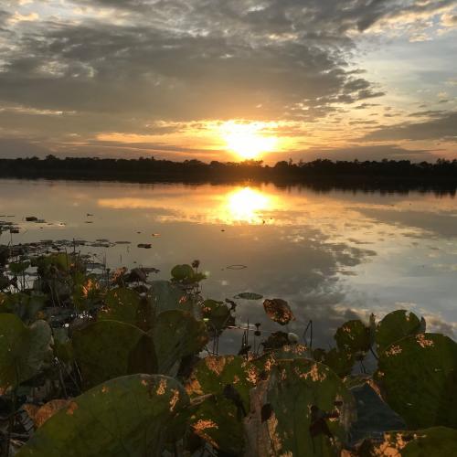 สมาชิกหมายเลข 5100127