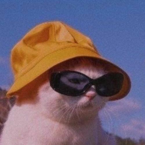 สมาชิกหมายเลข 6243115