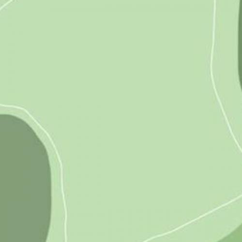 สมาชิกหมายเลข 6896101