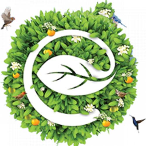 สมาชิกหมายเลข 6896964