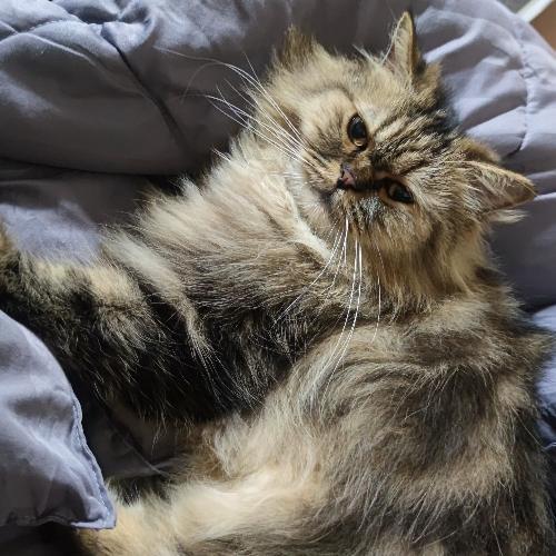 สมาชิกหมายเลข 6897472