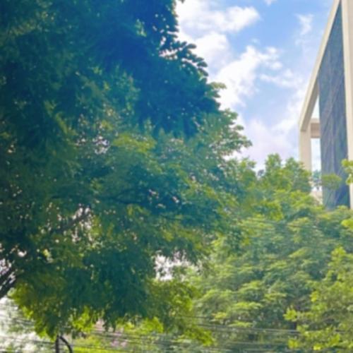 สมาชิกหมายเลข 3902678