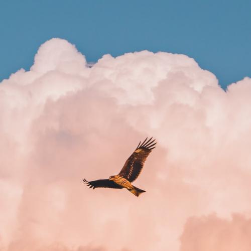 สมาชิกหมายเลข 2136364