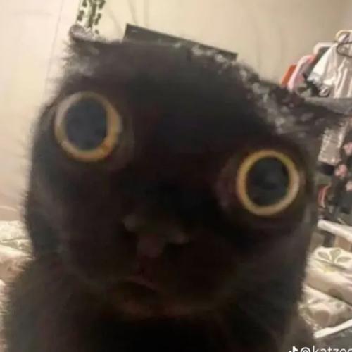 สมาชิกหมายเลข 3334529