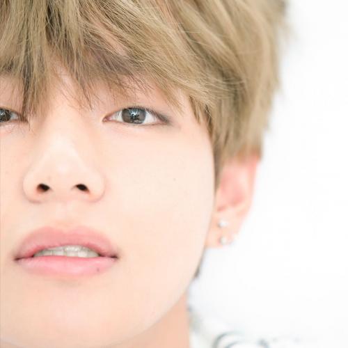 สมาชิกหมายเลข 4067390