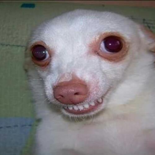 สมาชิกหมายเลข 5166333