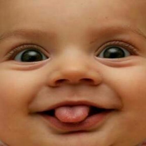 สมาชิกหมายเลข 5667116