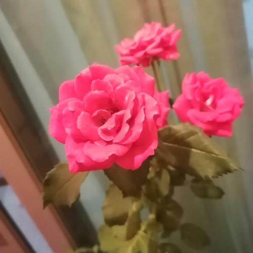 สมาชิกหมายเลข 5667226