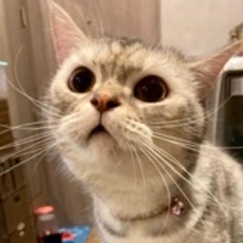 สมาชิกหมายเลข 5667254