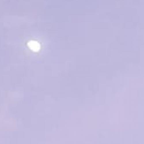 สมาชิกหมายเลข 3562446