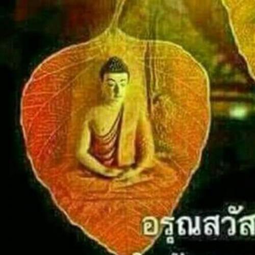 สมาชิกหมายเลข 5684805