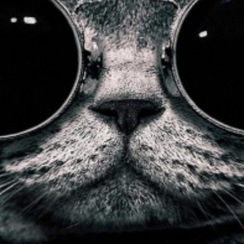 สมาชิกหมายเลข 5742704