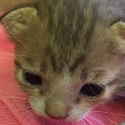 สมาชิกหมายเลข 6244327