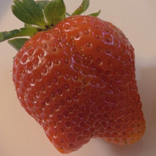 สมาชิกหมายเลข 2716950