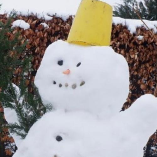 สมาชิกหมายเลข 3409858