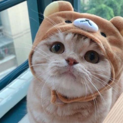 สมาชิกหมายเลข 5719414