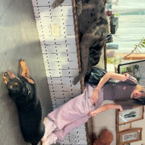 สมาชิกหมายเลข 6293871